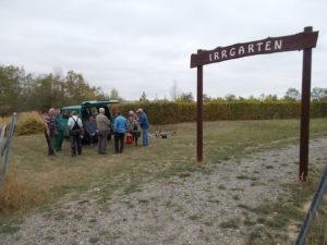 Rückschnitt im Irrgarten