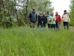 Wanderung zur Leinblüte am 25.05.2013