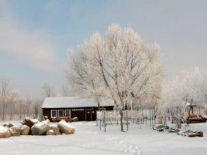 Winter auf der Halbinsel