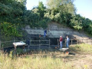 Pflegearbeiten „Geologische Fenster“