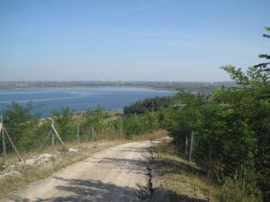 Blick nach Norden zur Halde Blösien und über den See nach Frankleben