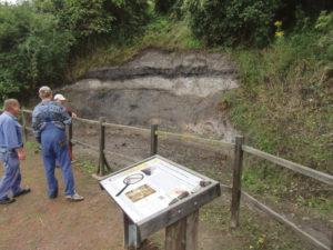 Pflegearbeiten „Geologische Fenster“