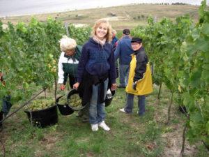 Weinlese 2009 - Prinzessin Sandra