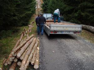 Holzaktion im Ziegelrodaer Forst