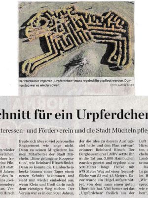 MZ Artikel vom 02.u. 03.u. 04.10.2020