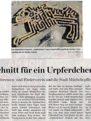 MZ Artikel vom 02.u. 03.u. 04.10.2020